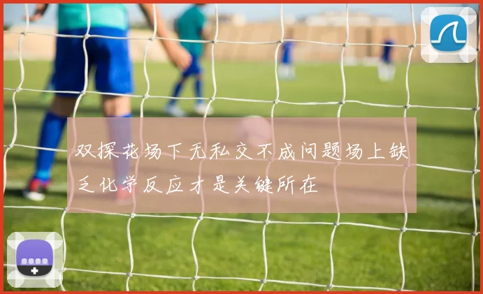 双探花场下无私交不成问题场上缺乏化学反应才是关键所在