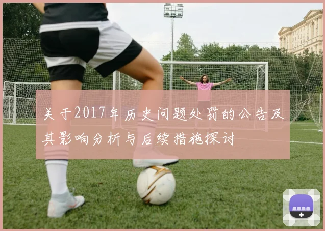关于2017年历史问题处罚的公告及其影响分析与后续措施探讨